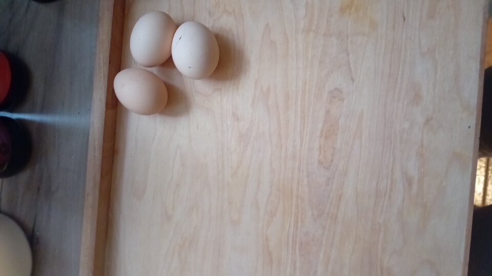 1000005252.jpg - Karlo32