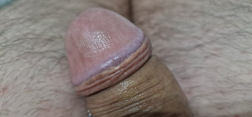 17355873717314105591975927072726.jpg - robin266