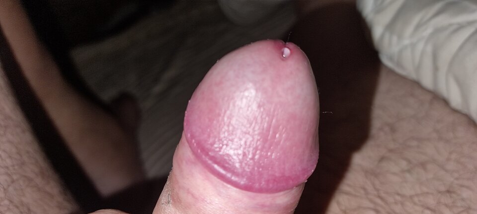 20241224_003105.jpg - Feanorm