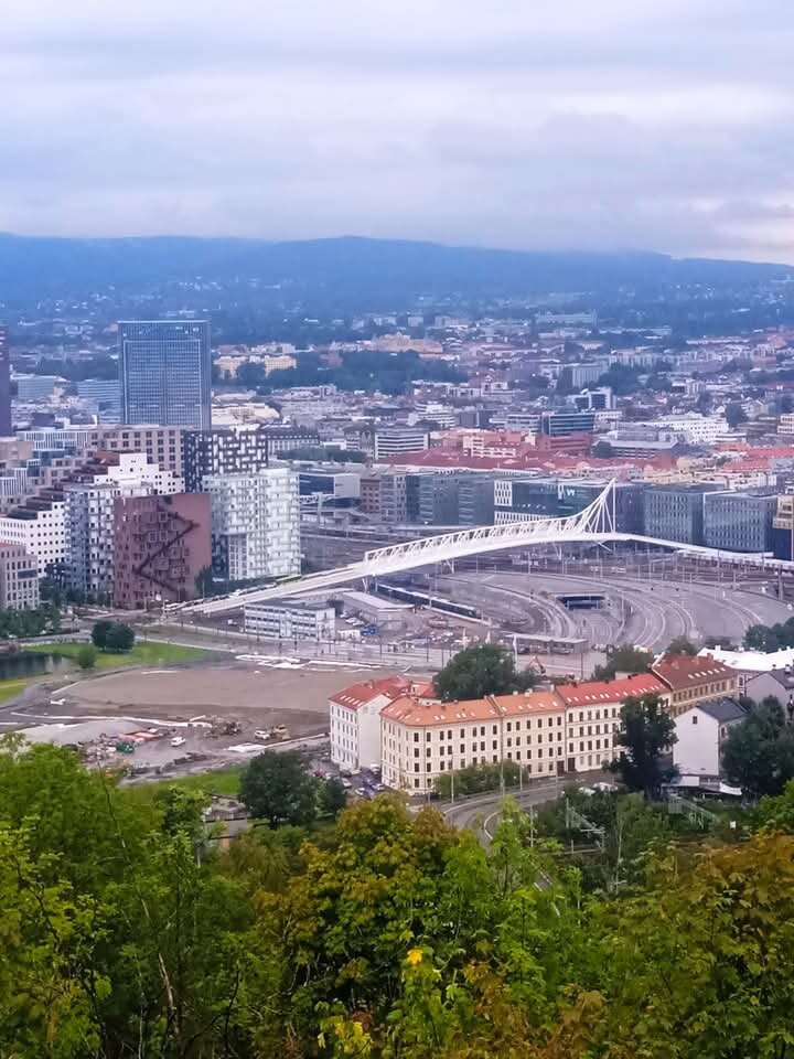 FB_IMG_1735605914419.jpg - Blizniak1991