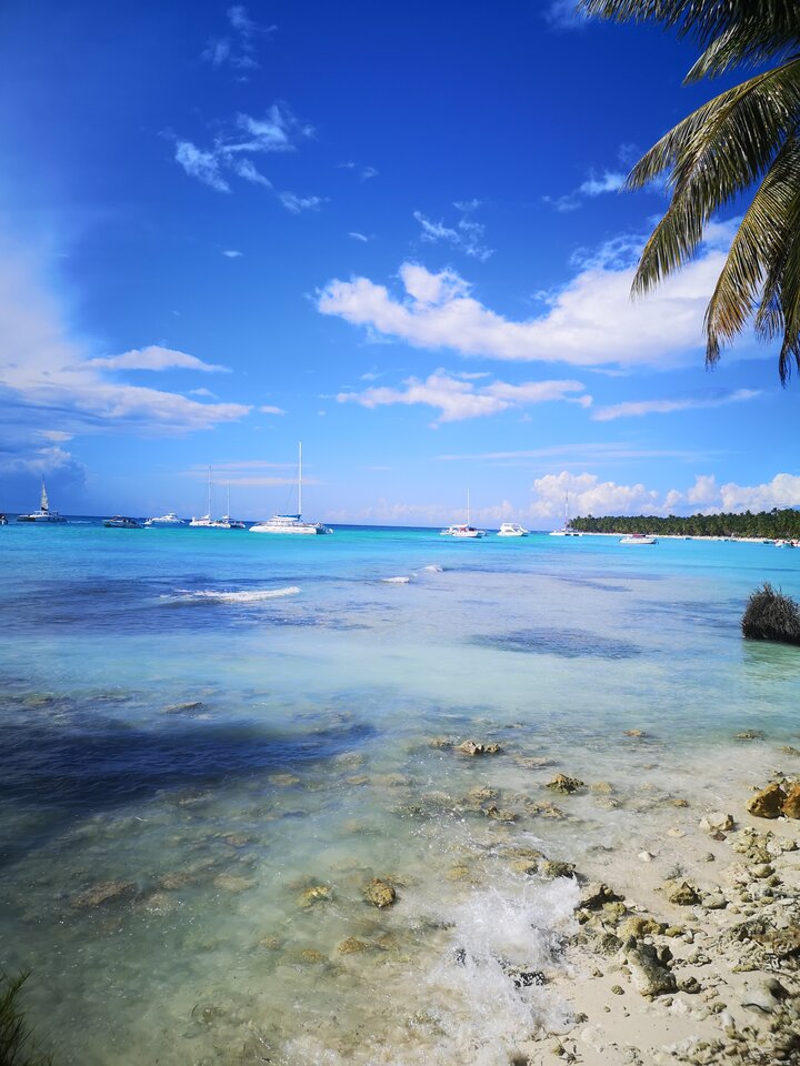 dużo słońca w Nowym Roku.jpg - elektroluz