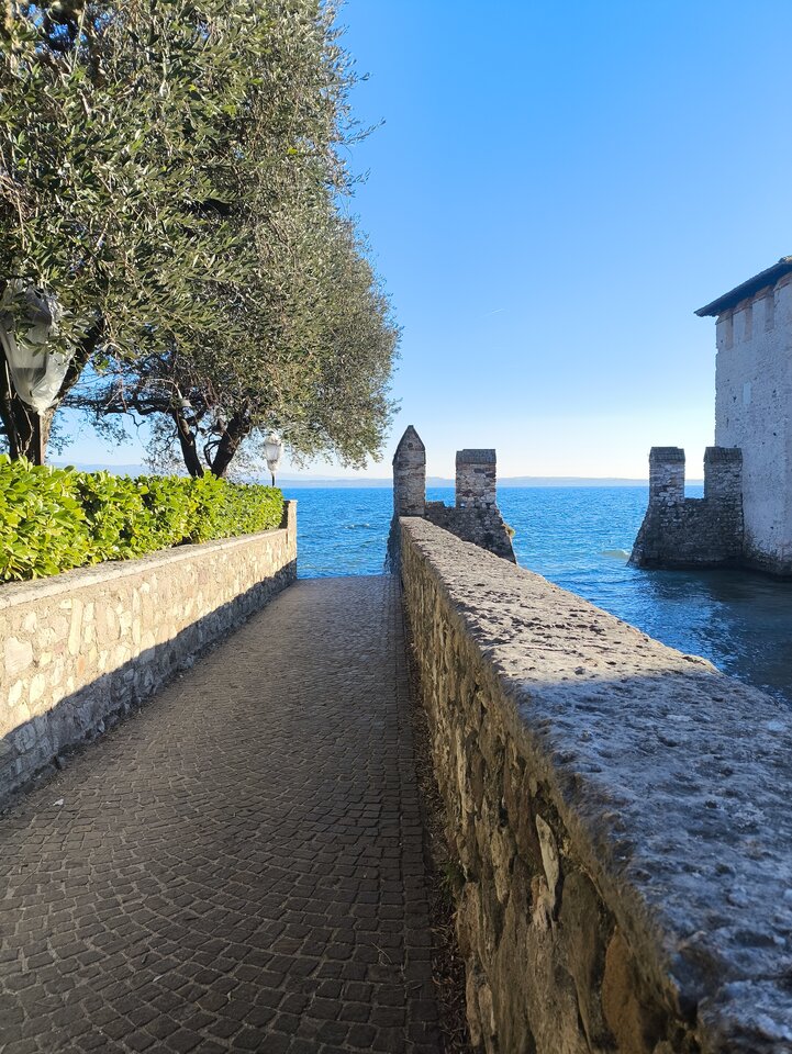 1000004647.jpg - Blueskay