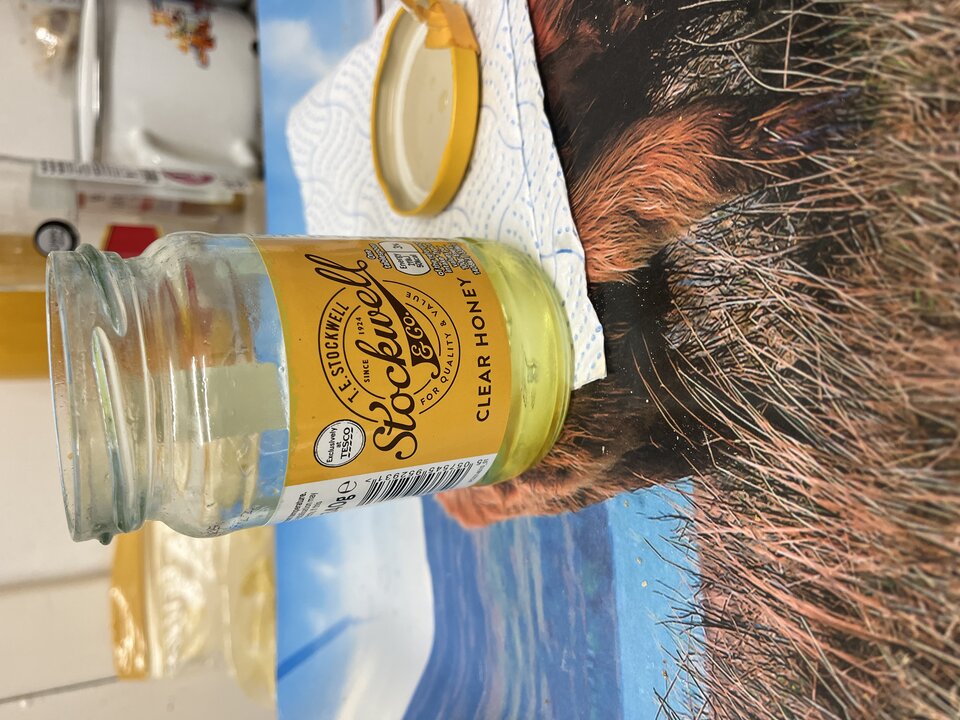 IMG_3019.jpeg - tom745