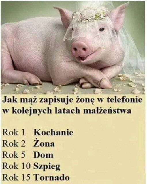 1000000924.jpg - pulchna65