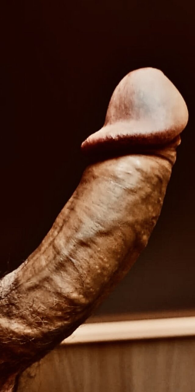 Twardykutas95