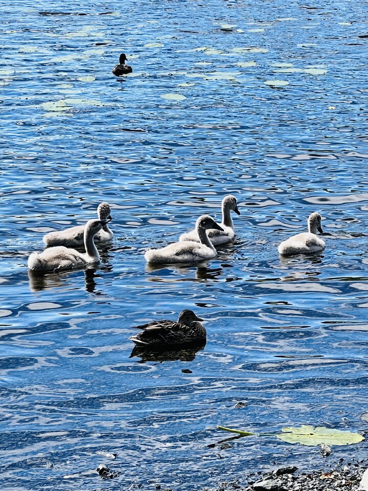 IMG_3023.jpeg - Ferdekkkkk