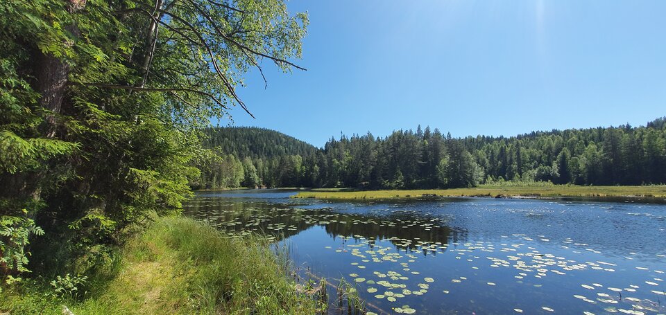 3999.jpeg - Ferdekkkkk