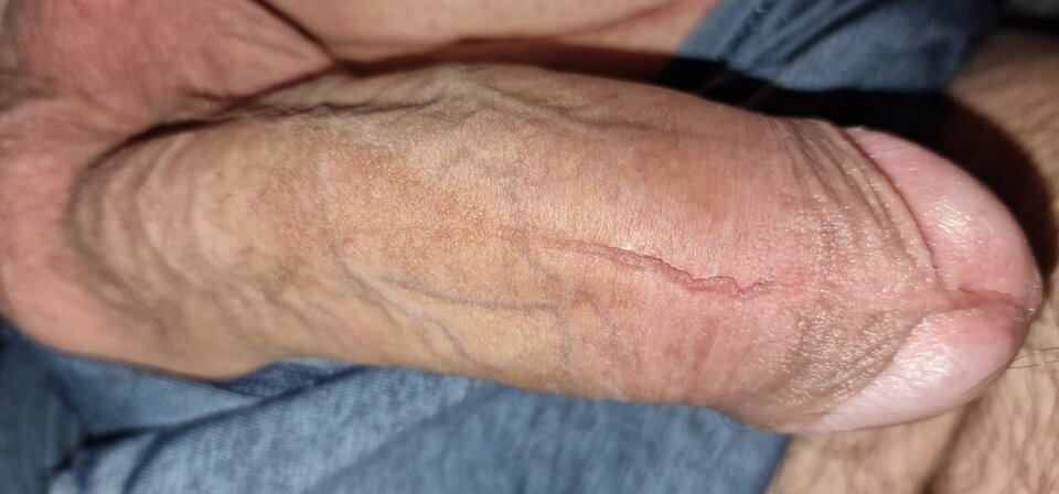 1735788723011711639177513891420.jpg - robin266