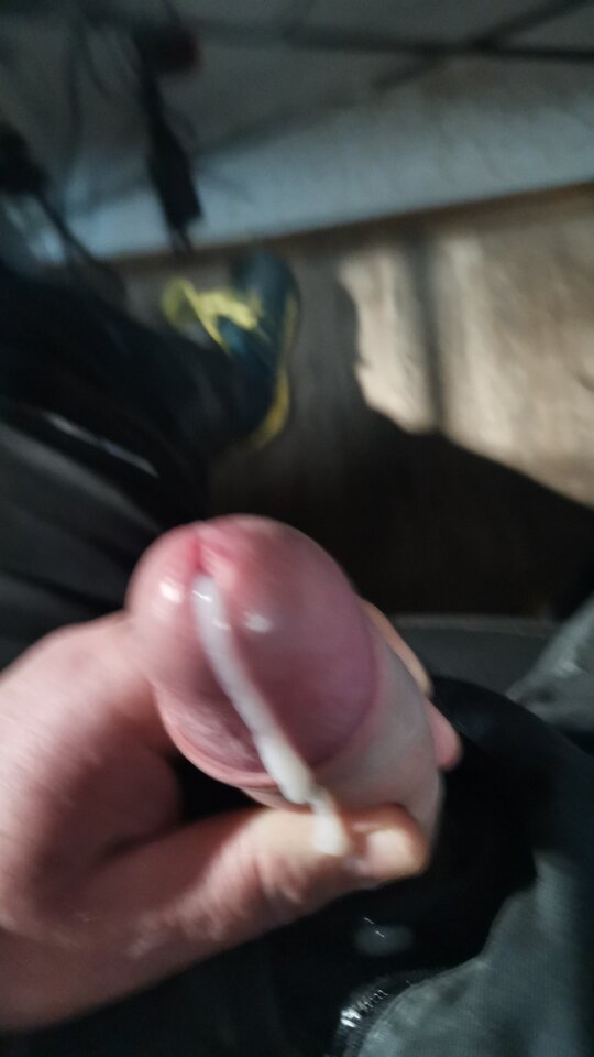 IMG-20250102-WA0022.jpeg - Sryl