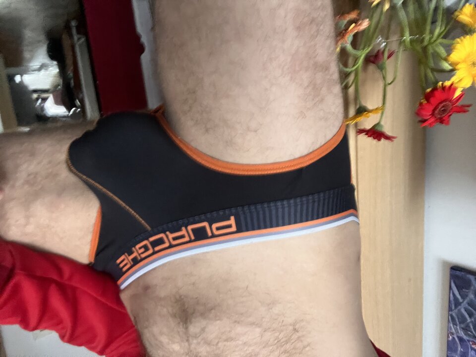 IMG_4363.jpeg - zabbaffalodz