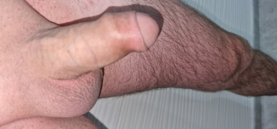 17358467431156567282618015756353.jpg - robin266