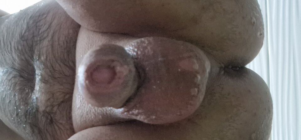 1735847276967623150574120826185.jpg - robin266