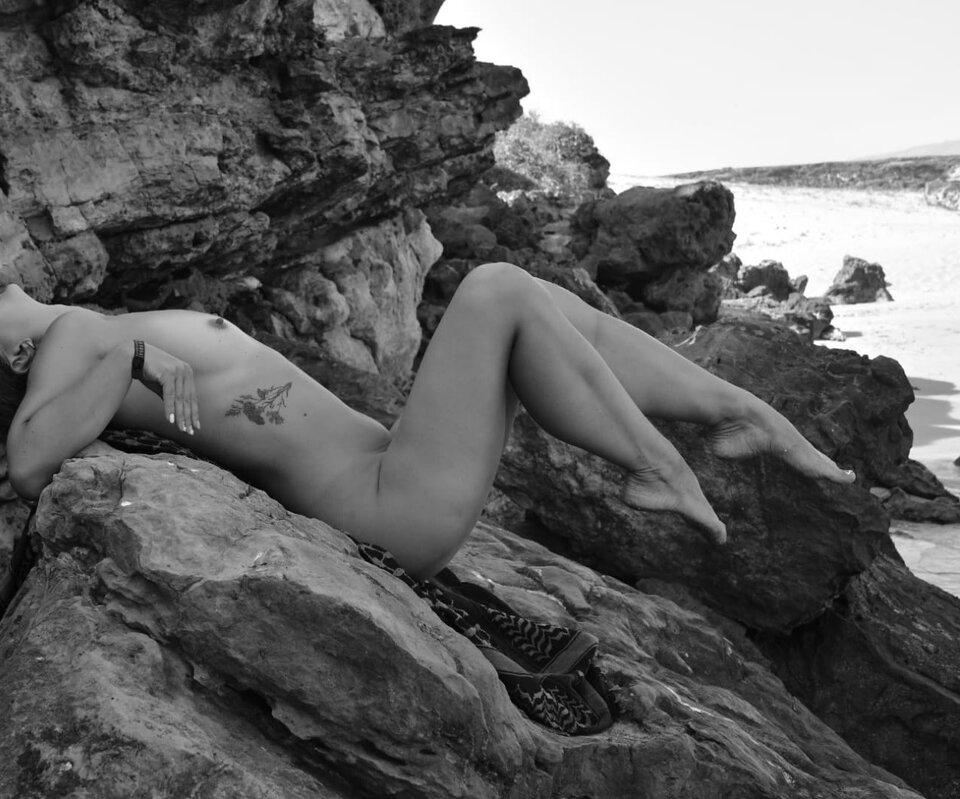 651c9166-7665-4ca3-aa73-eb87ed9e0c44.jpeg - wild_octo