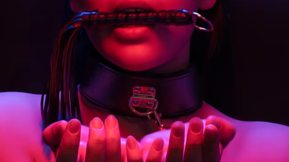 Projekt bez nazwy (2).jpg - Origamiclub