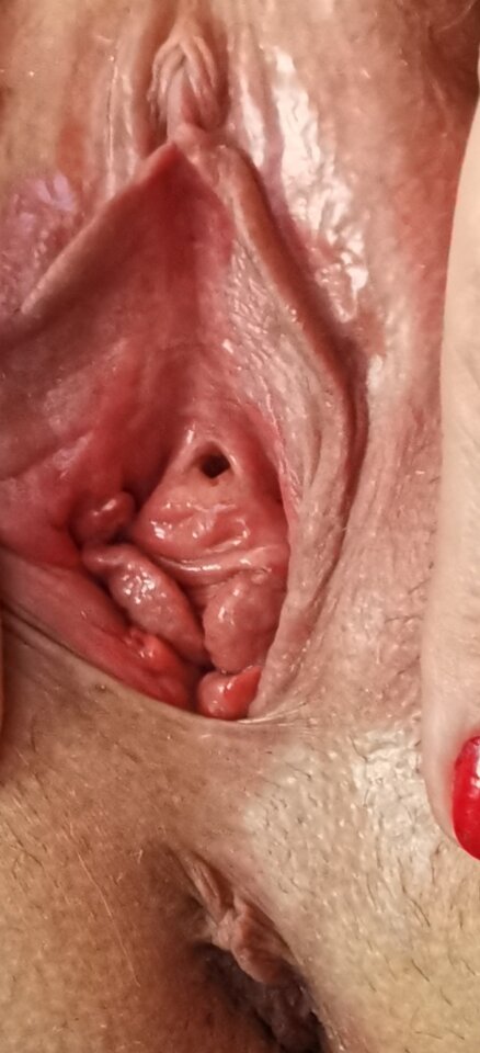 IMG_20250103_133054.jpg - CycataMaja769