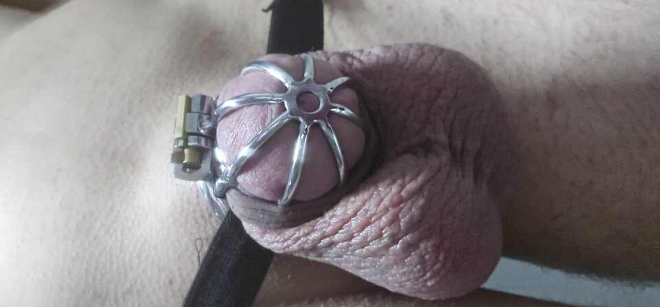 1000015980.jpg - Speedlopez91