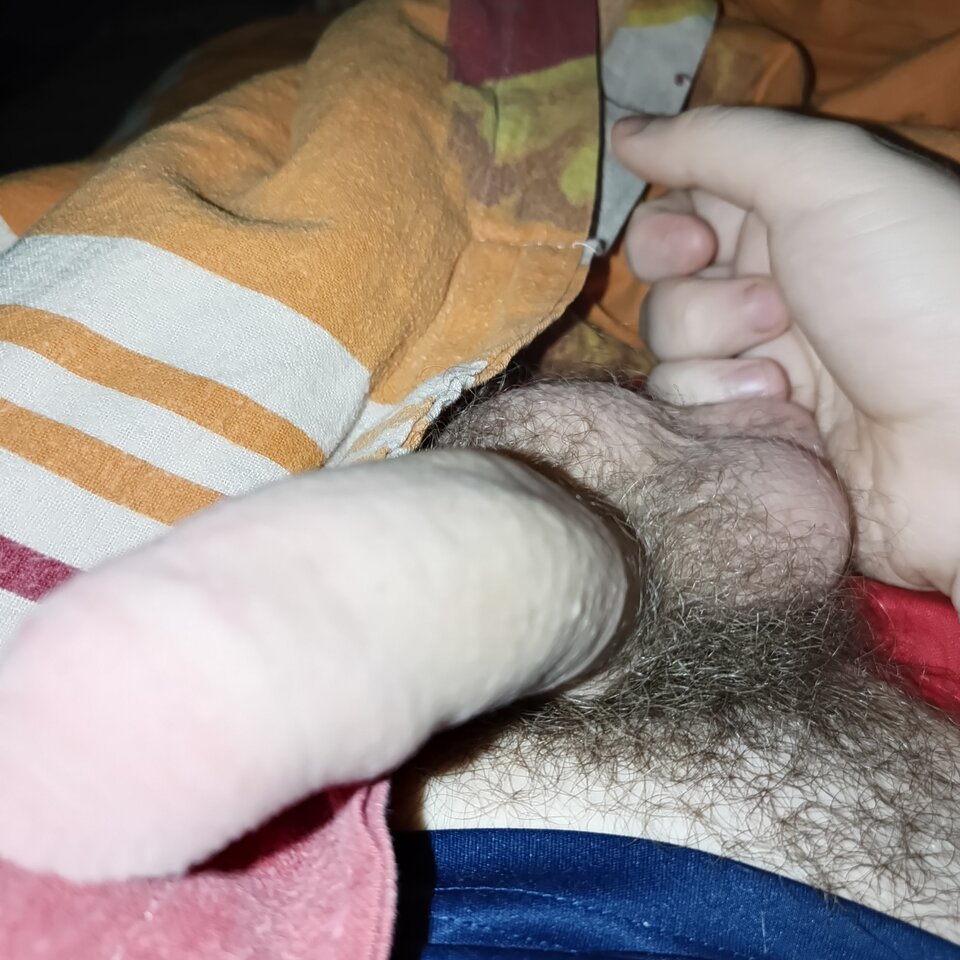 1735944633182.jpg - Hubert1812