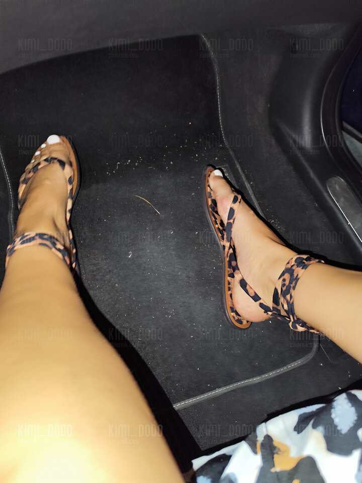 Kimi i Dodo - Kimi_Dodo