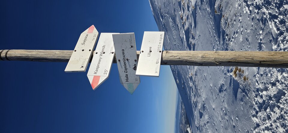 1000073195.jpg - KasiaiMateusz12