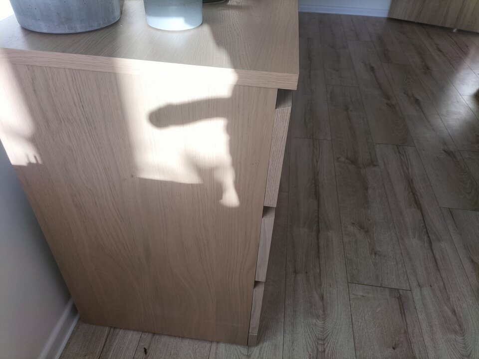 Słoneczny poranek - Piotrwdz