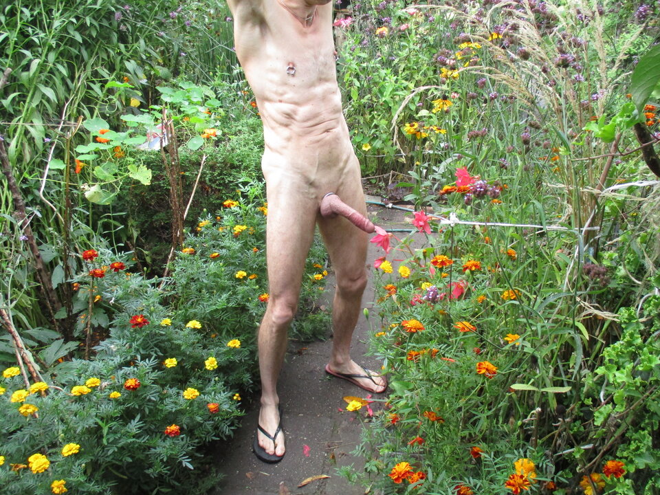 IMG_8915.JPG - gawel35