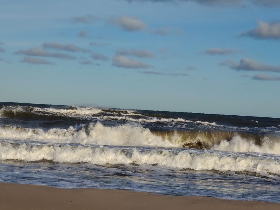 1000010672.jpg - Koiioo