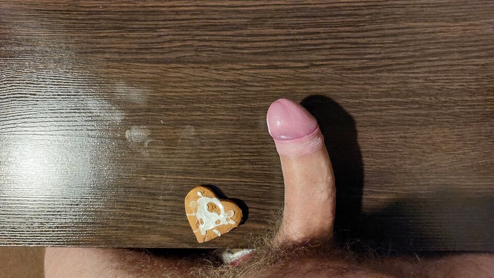 ciastko albo kutas.jpg - adam432987