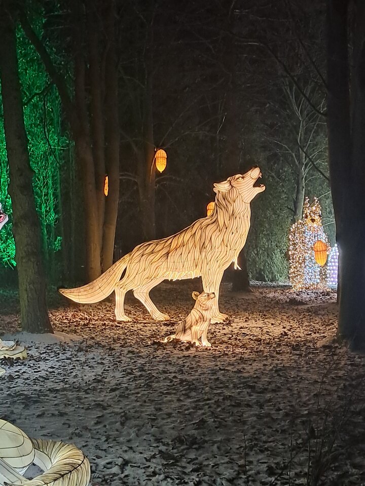 1000005342.jpg - Rothmans84