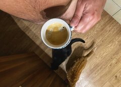 🐈 ☕️