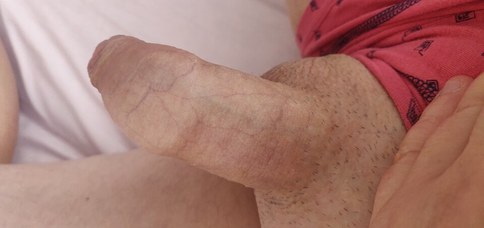 IMG_20250105_102438.jpg - fajnykutasek25