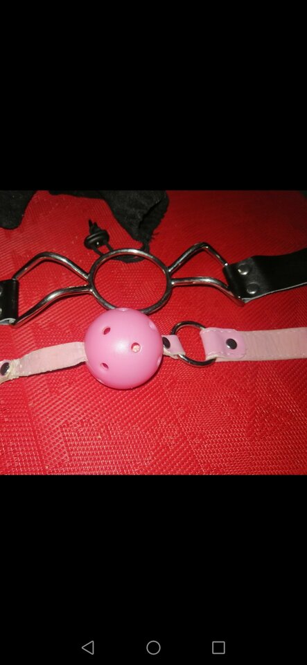 Screenshot_20210330_101627_com.android.gallery3d.jpg - Sandraanall