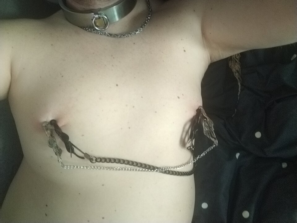 IMG_20240410_091354.jpg - Sandraanall