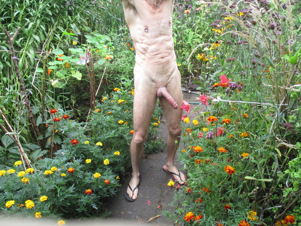 IMG_8923.JPG - gawel35