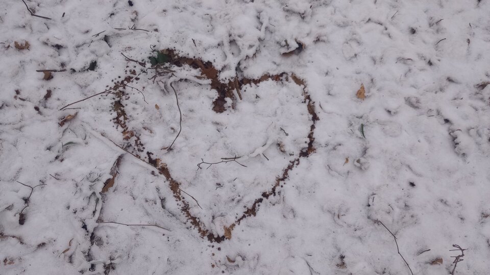 IMG_20250105_152303148.jpg - minimax69