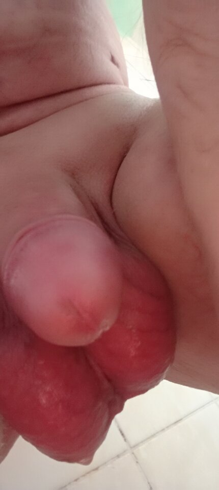 IMG20250101142941.jpg - OPitt