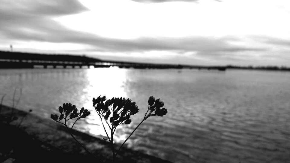 20250106_125417.jpg - DDdominiKK