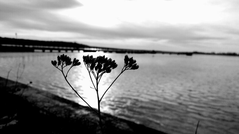 20250106_125409.jpg - DDdominiKK