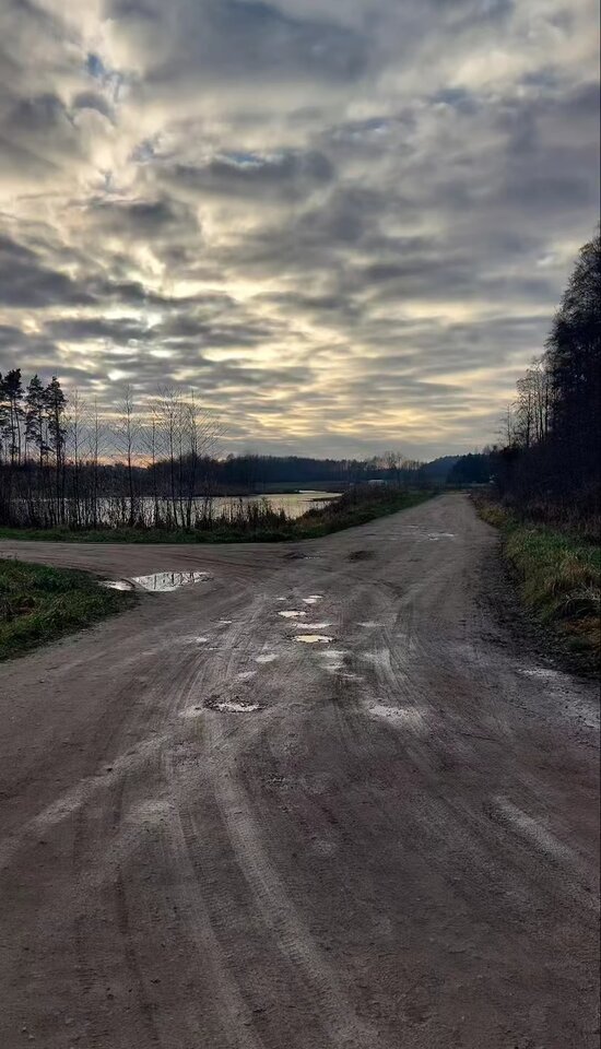 IMG_20241226_080430.jpg - Nicci