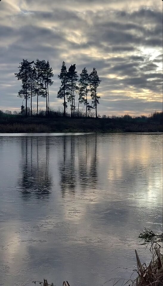 IMG_20241226_080532.jpg - Nicci