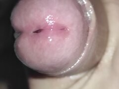 IMG_20250107_050500.jpg