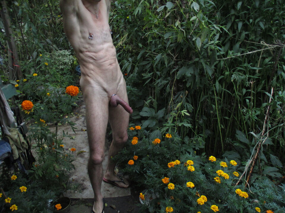 IMG_8937.JPG - gawel35