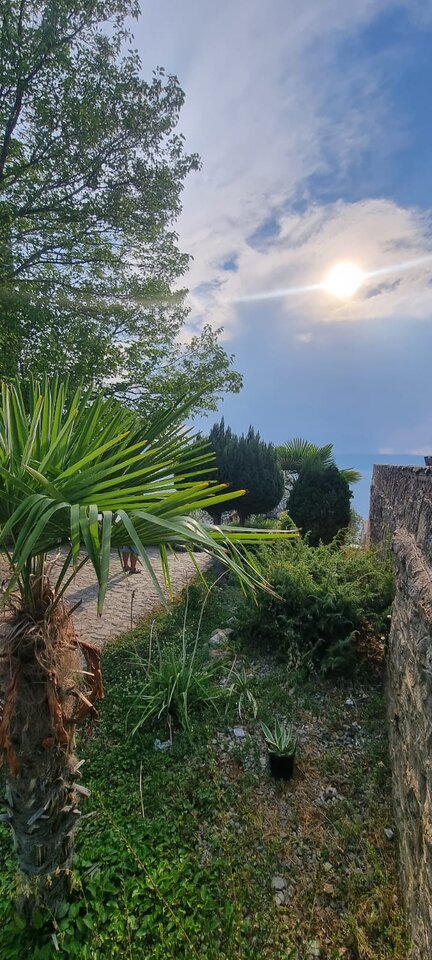 IMG-20230821-WA0005.jpg - Niewiemsama1