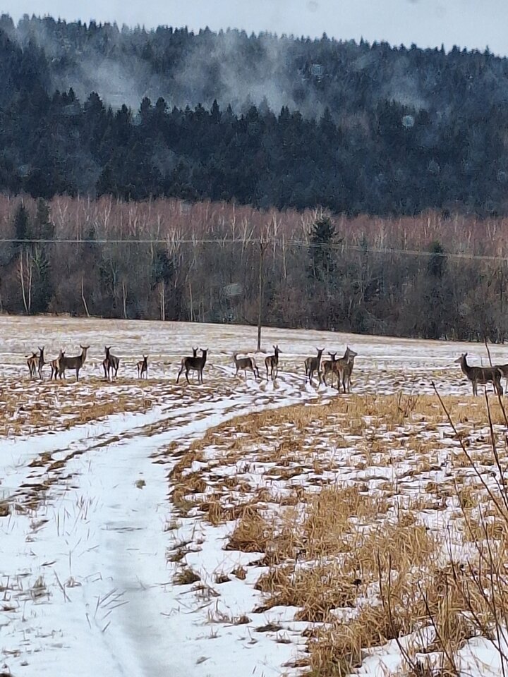 20250106_092445.jpg - tom37