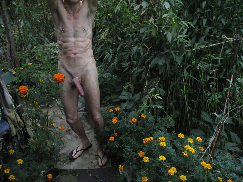 IMG_8939.JPG - gawel35