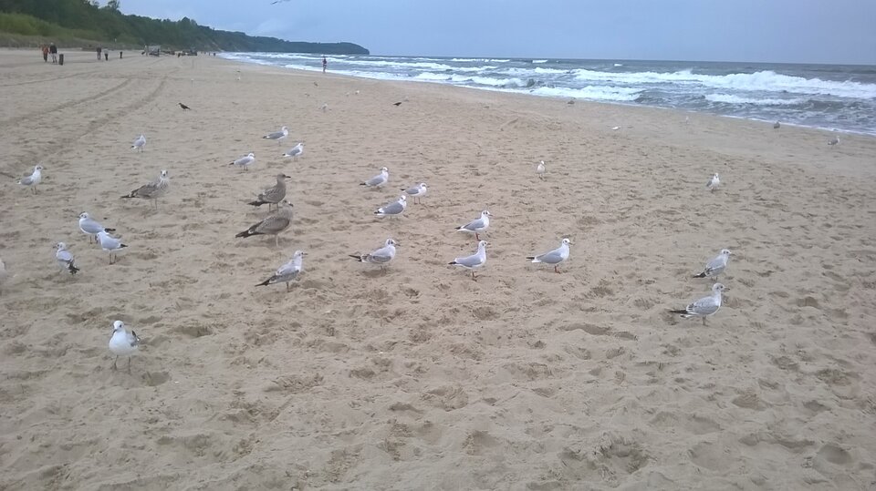 1000000264.jpg - lulu01