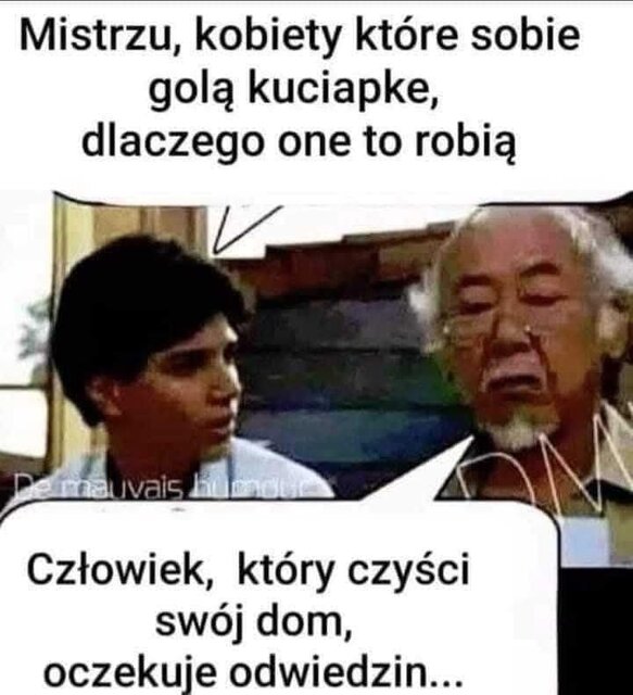 FB_IMG_1736339632427.jpg - 1ZLOTARACZKA