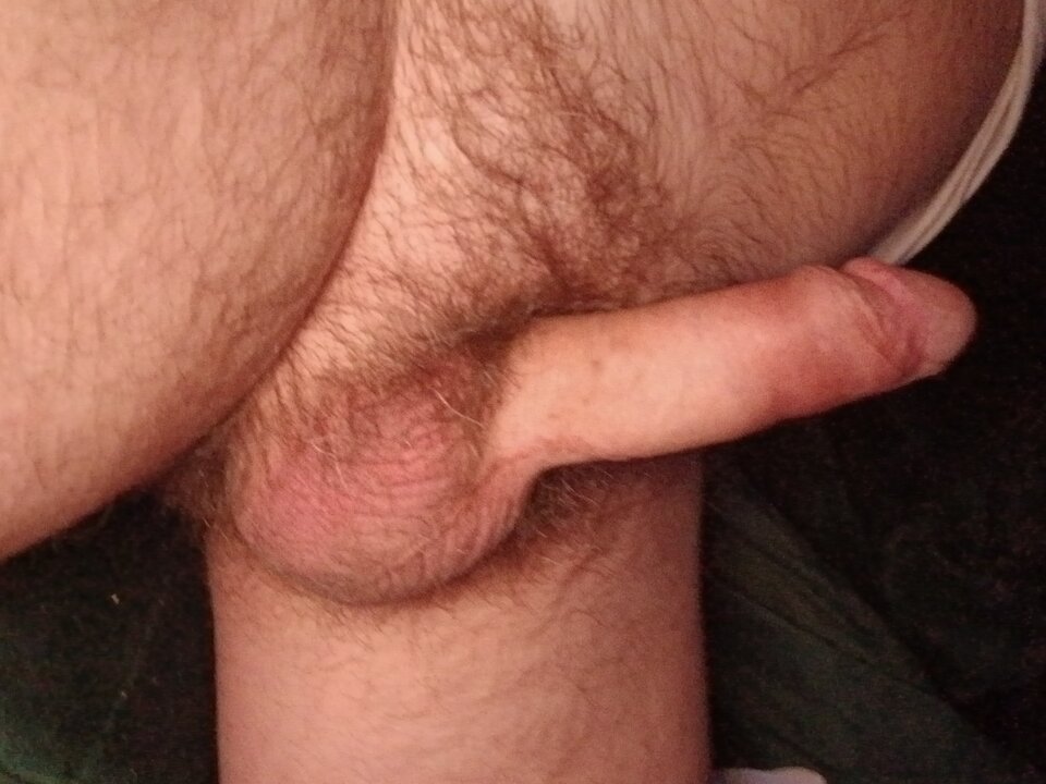 20250106_055348.jpg - harrnas