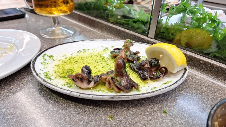 1000006608.jpg - para3637wawa