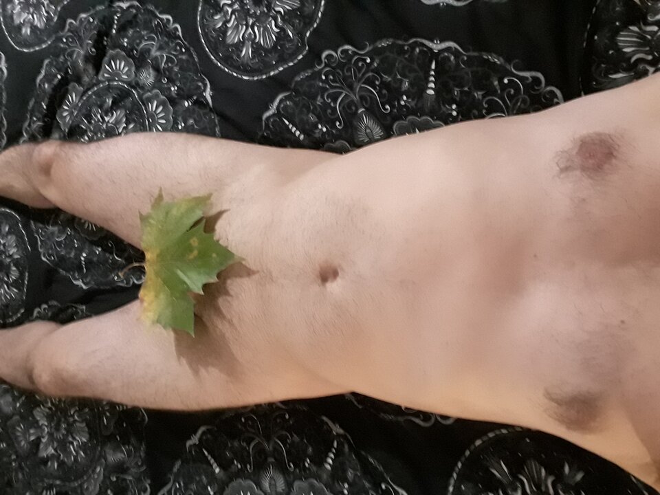 20231101_231359.jpg - pogan11