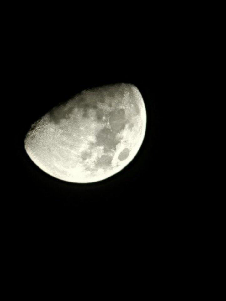 1000010814.jpg - Koiioo